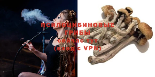 прущая мука Инта
