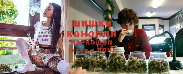 ECSTASY Инсар
