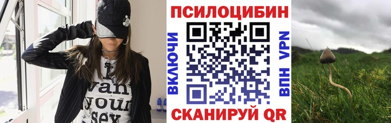 Купить  Миллерово  Псилоцибиновые грибы Magic Shrooms 